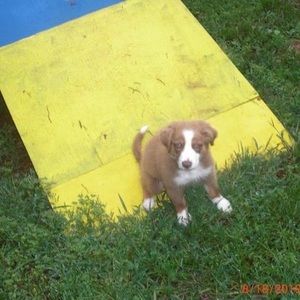 Meet your Posher, Yuko